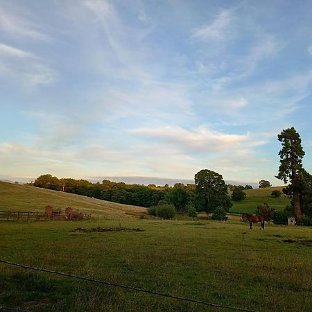 The Stables At Eriviat Hall Henllan  Buitenkant foto