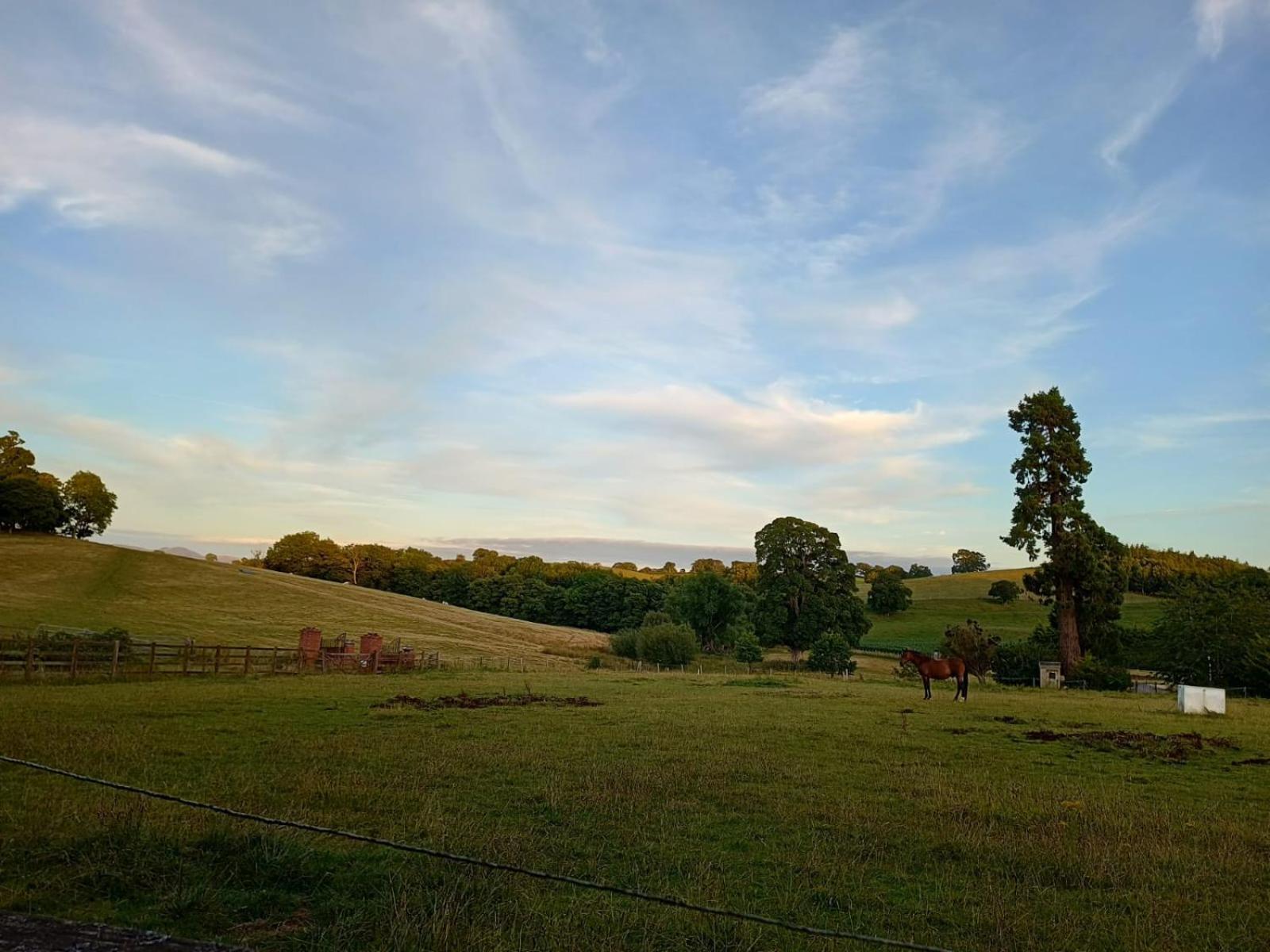 The Stables At Eriviat Hall Henllan  Buitenkant foto
